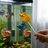 Colorful Teasing Fish Stick Fish Shaped Simulation Betta Stick Fish Training Stick  Teaser Toy