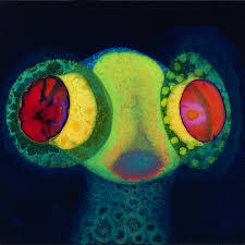 

LP Record OSEES Sorcs 80 Colored Vinyl Colored V CF151 CASTLE FACE Non Japan Rock