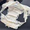 Ladies Spring and Summer Pure Desire Sexy Lace Leopard Print Mesh Briefs