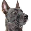 Nylon Soft Dog Muzzle, Anti-bit, Anti-bark, Anti-chew, Adjustable Ring (xl, Black)LBlackSZRH A-S
