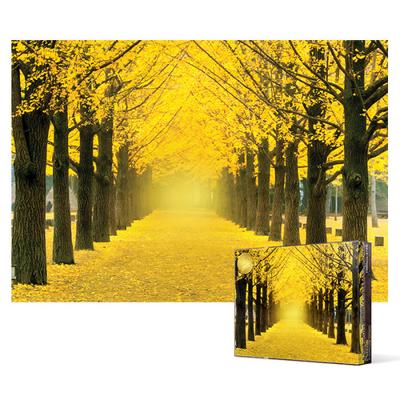 1000 Piece Jigsaw Puzzle / Golden Ginkgo Tree Road, Popular Korean Puzzle