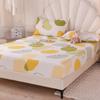Fitted Sheet Home Bed Cover Summer Spring Winter Mattress Covers With Elastic (Without Pillowcase)
