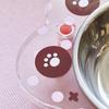 Edelstahl Haustier Futter Napf Blumenform Hund Wassernapf Nackenschutz Napf Für Innengebrauch
