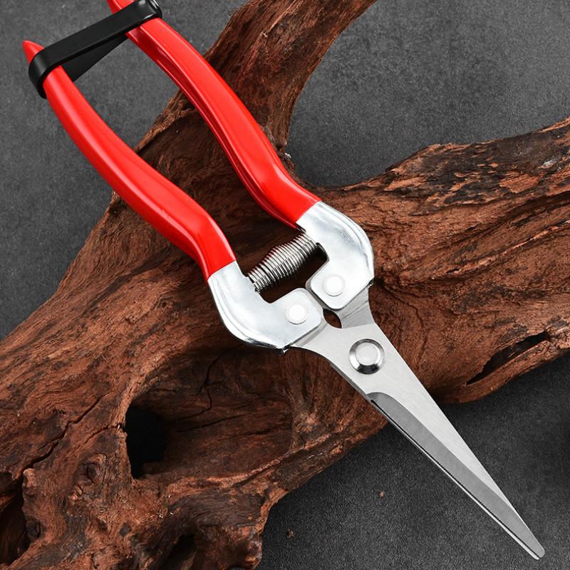 Orchard Fruit Picking Shears Picking Grapes and Melons Scissors Garden Fruit Tree Flower Branch Grafting Gardening Scissors
