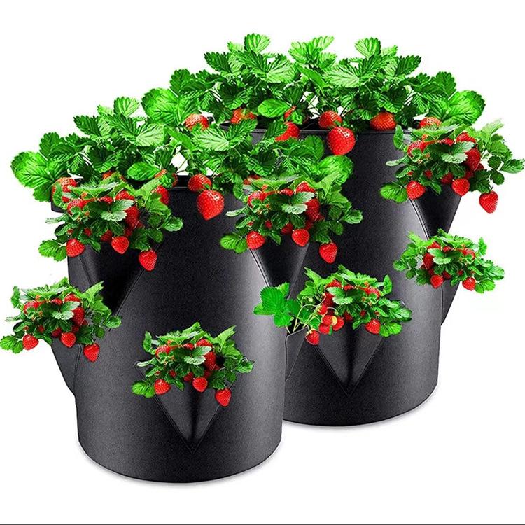 Strawberry Planting Bag - Thick, Non-Woven Fabric for Indoor & Outdoor Cultivation