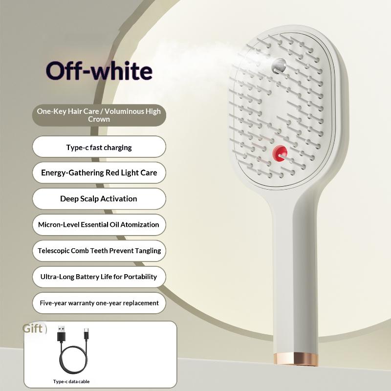 Electric Steam Brush With Water Spray Wet Electrics Hairbrush Usb-C Charging For Detangling Smoothing Styling & Frizz Control