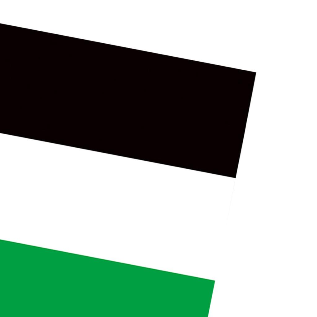 Palestine Flag with 2 Brass Grommets Vivid Color Polyester Double Stitched Colorfast Country Flag