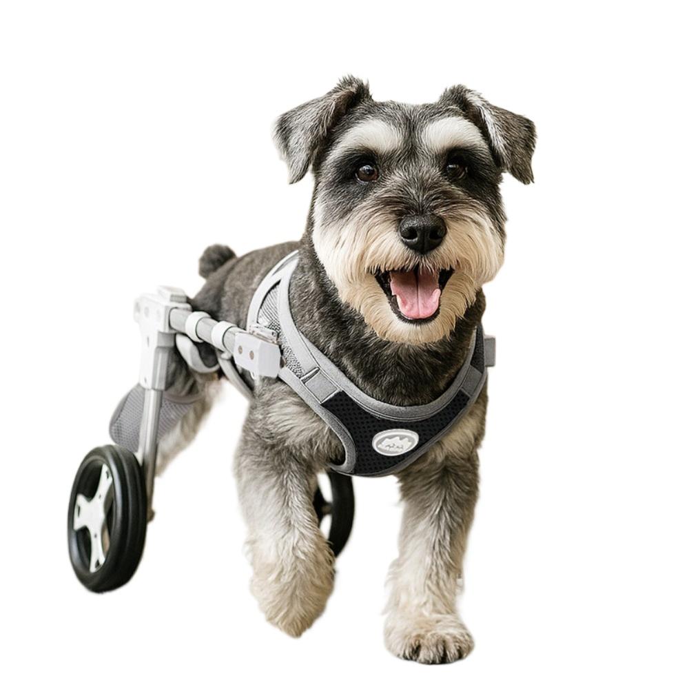 

Pet cat Hind Leg Assistive Vehicle Two-wheel/four-wheel Silent and wear-resistant Dog Assistive Vehicle Adjustable Pet Products XS