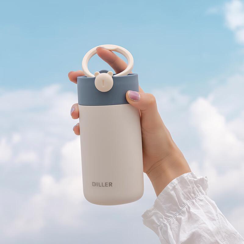 Diller 316 Edelstahl Isolierte Tragbare Flasche