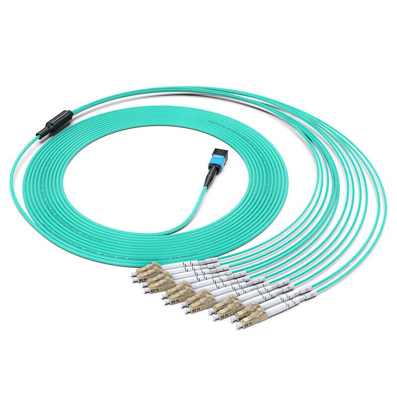 

Shengwei MPO-LC 12-Core OM4 Fiber Optic Patch Cable