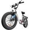 Elektrický bicykel pre dospelých URLIFE E20 s motorom 250W, 48V 13AH batériou, 20" elektrický bicykel s hrubými pneumatikami
