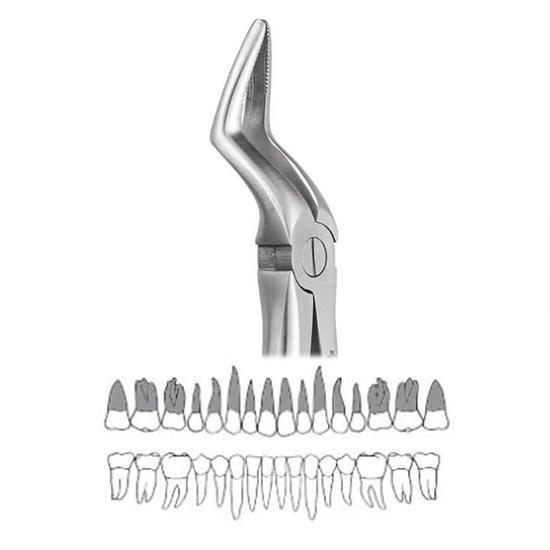 

GDC Extraction Forceps Upper Roots - 51A Standard (FX51AS)