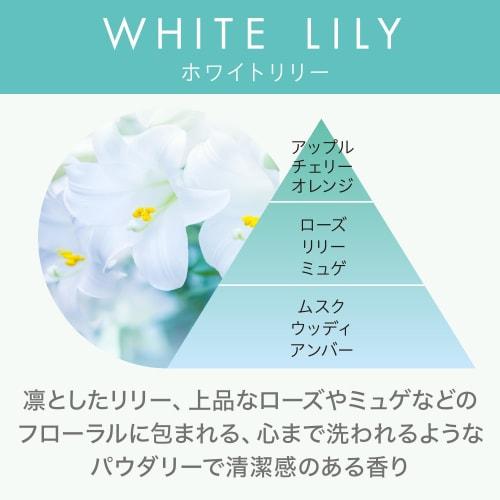 Deodorizing Note Closet Air Freshener, White Lily, Hanging Type, Softly Scented for Approximately 2 Months, Closet, Locker, Sachet, Hanging Air Freshe