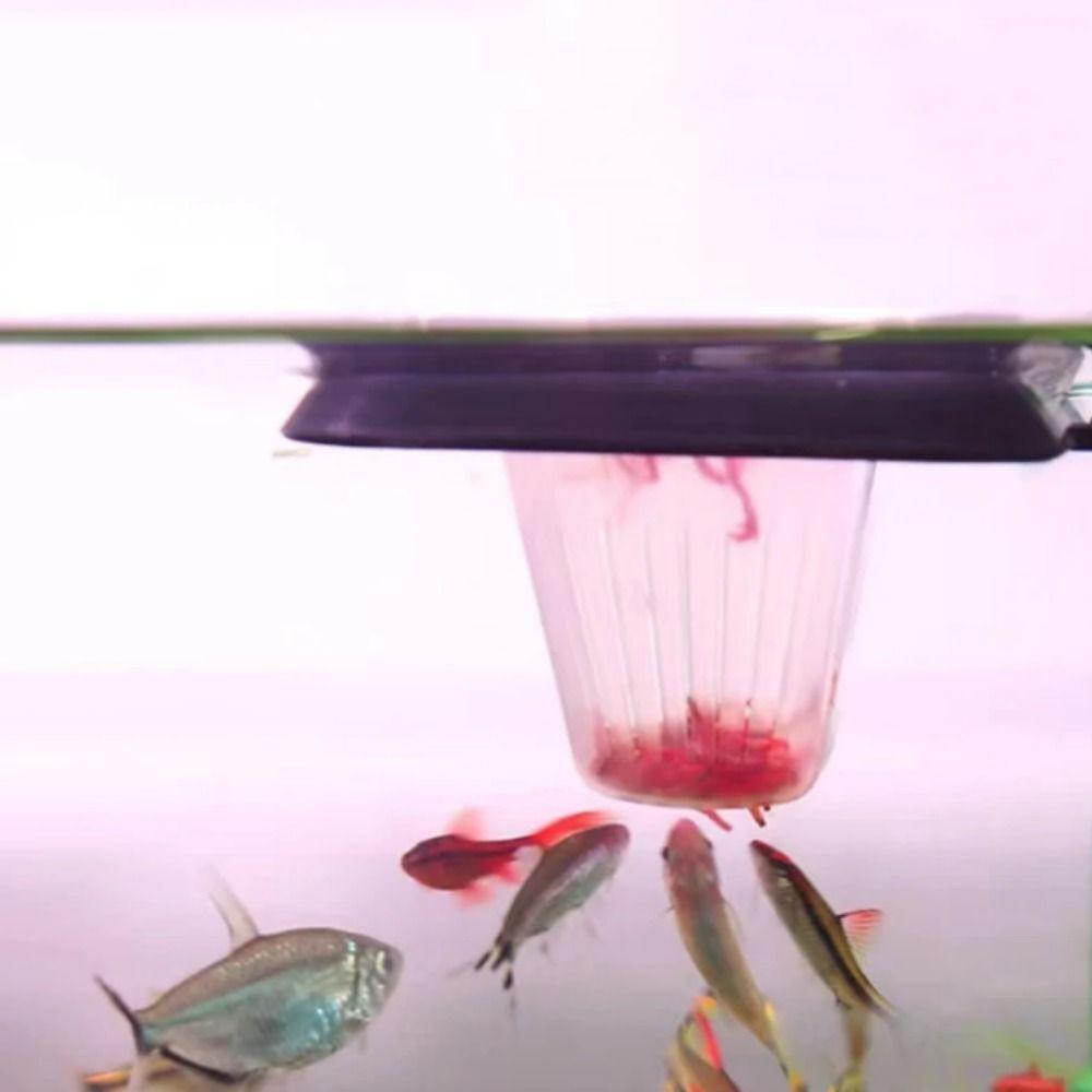 

Suspended Fish Feeder 3 in 1 Nematode Funnel Portable Frozen Red Worm Cup Feeding Fish