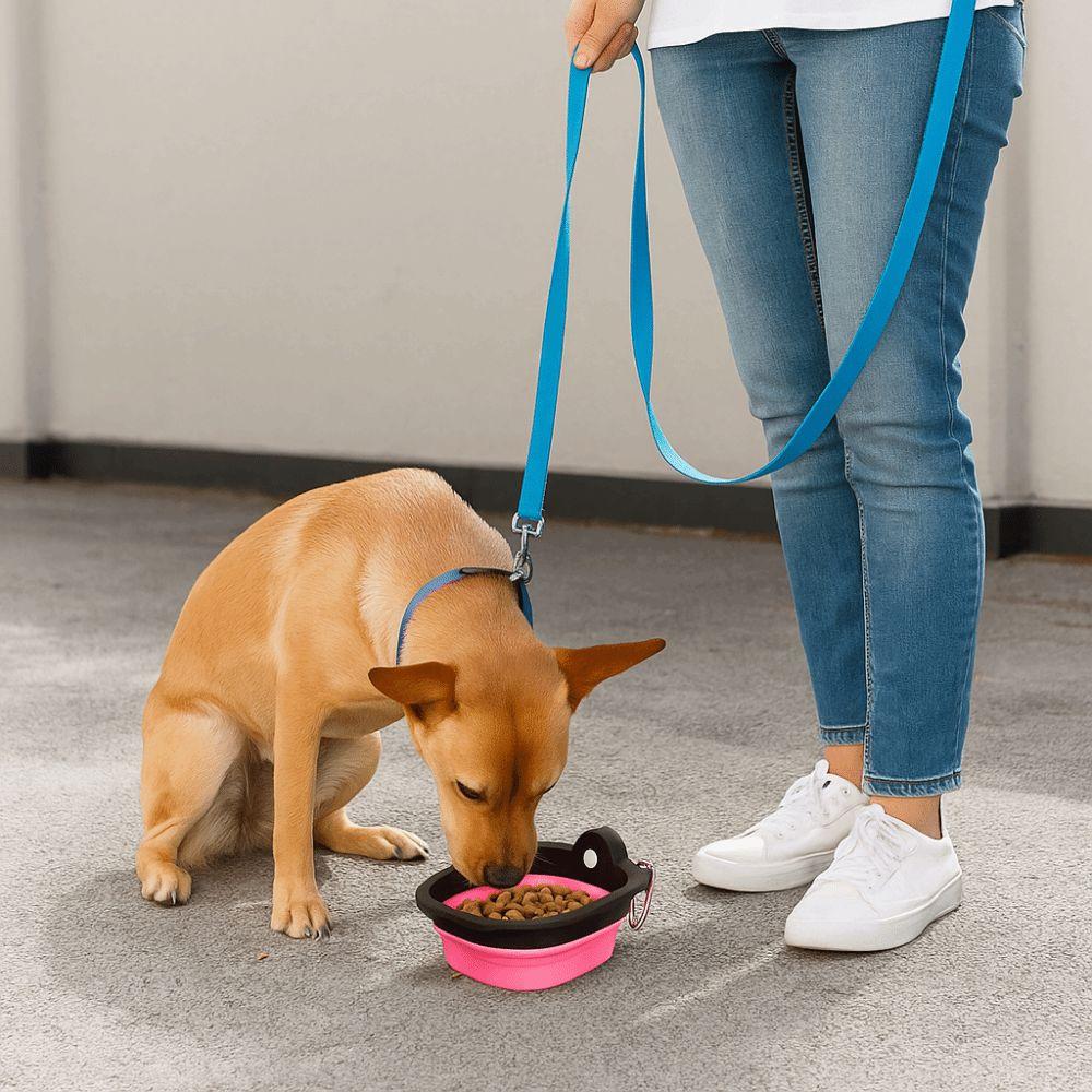 Portable Collapsible Dog Water Bowl Lightweight Pet Food Water Feeding Tray  Outdoor