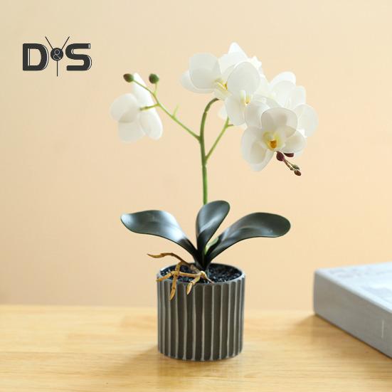 Artificial Potted Plant Faux Moth Orchid Bonsai Desktop Artificial Potted Phalaenopsis Flowers for Home Dining Table Office Desk Decoration