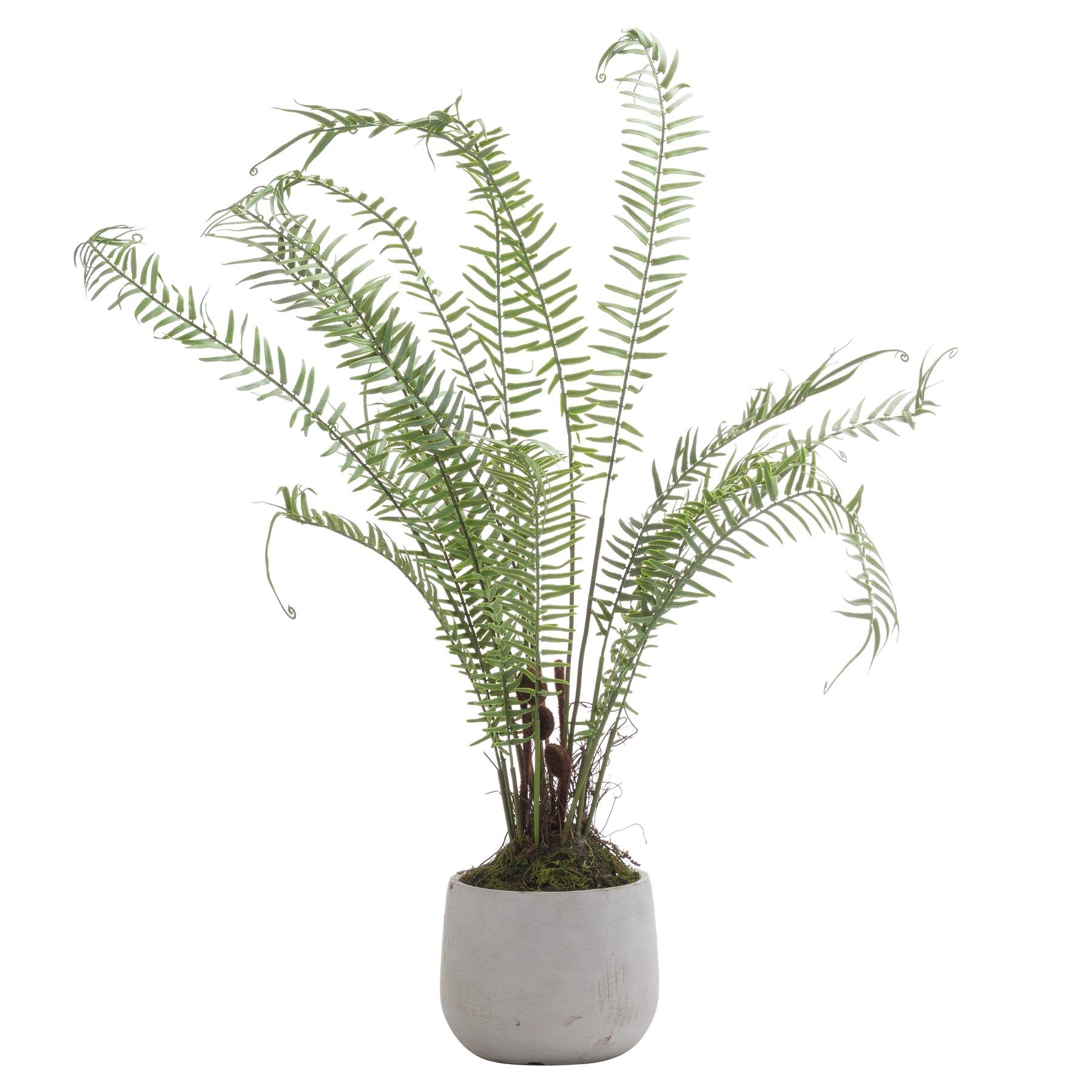 Hill Interiors Planta artificial de helecho de Boston 67cm x verde/blanco