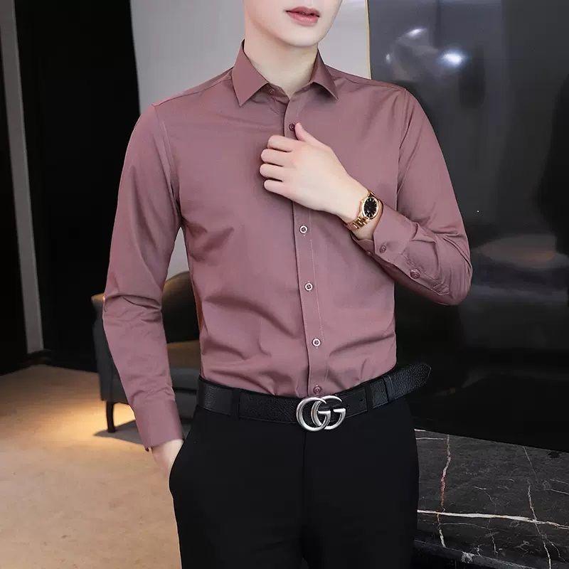 Long-sleeved Men's Solid Shirt Business Temperament Lined Free Ironing Shirt