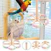 Solid Wood Wood Bird Training Stand Detachable Birds Grinding Perch Holder  Cockatoos
