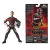 Avengers Series Marvel Legends Action and the 5.0 6-inch Figure/Ant-Man (Ant-Man Wasp)