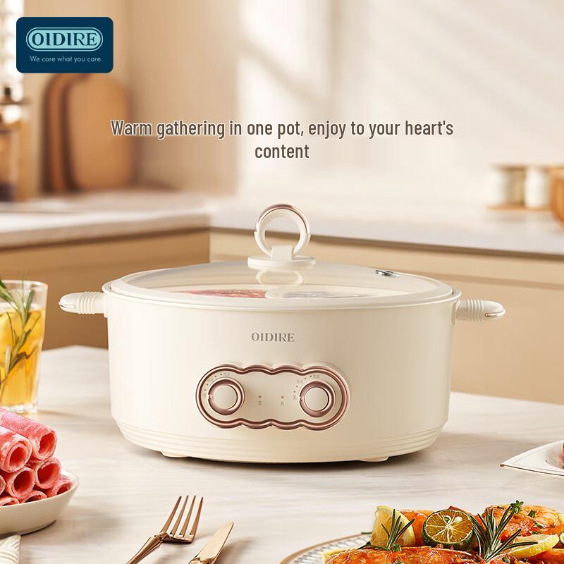 OIDIRE 6L Multi-functional Electric Hot Pot with Divider CN plug (adapter included)