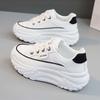 Thick-soled 22 New Autumn and Winter Leisure Sports Heightening Dad White Shoes Leather Muffin Shoes