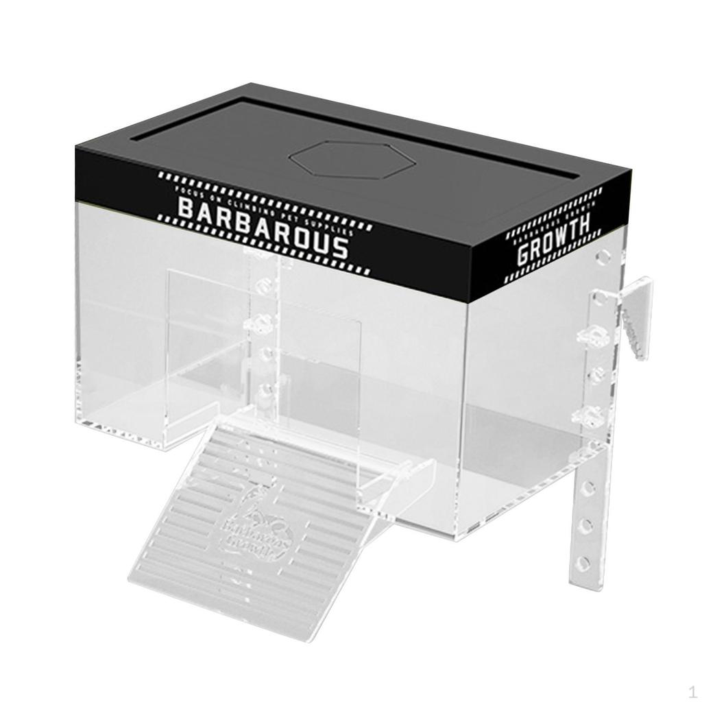 Aquatic Turtle Basking Area with Lid and Dock Setup