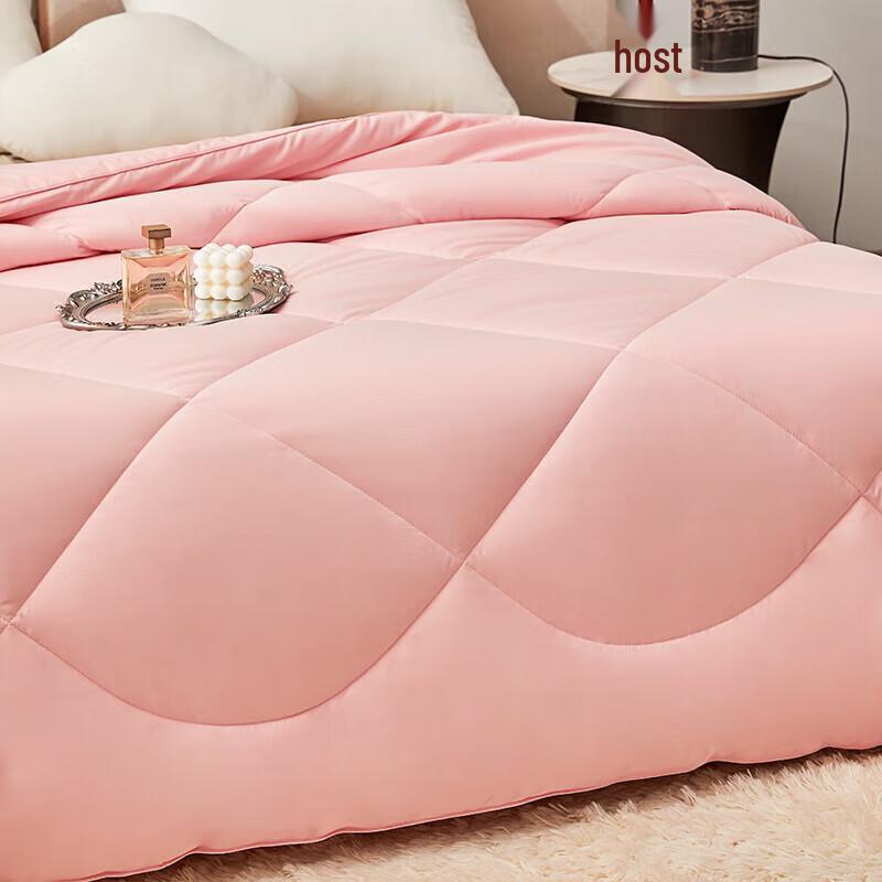 Red Bean Theanine Antibacterial Quilt