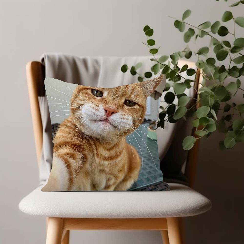 Cat Funny Pillow Cushion Cover Pillowcase Living Room Sofa Home decorative pillowcase