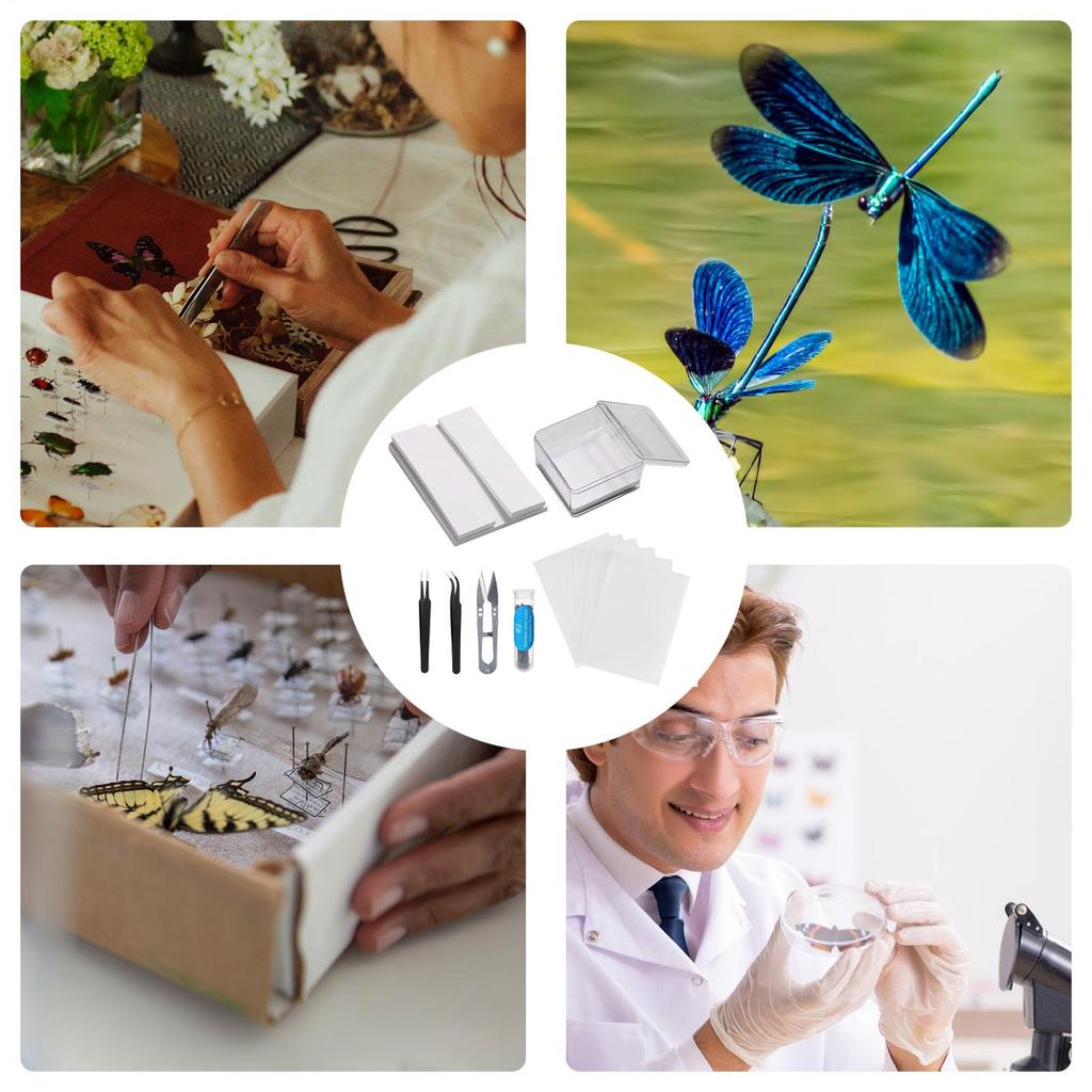 Insect Specimen Making Tool Insect Pin Wing Plate DIY Butterfly Specimen Tools Specimen Display Accessories Set for Butterfly