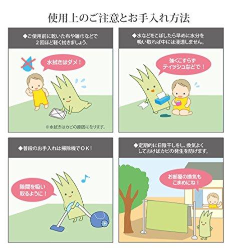 IKEHIKO Corporation IKEHIKO Shiranui Igusa Rug, Honma 1 Tatami Size (approx. 95 X 191 Cm), Made In Japan, Checkered Weave, Cypress Finish #6300181