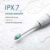 ApiYoo P7 Sonic Electric Toothbrush CN plug (adapter included)