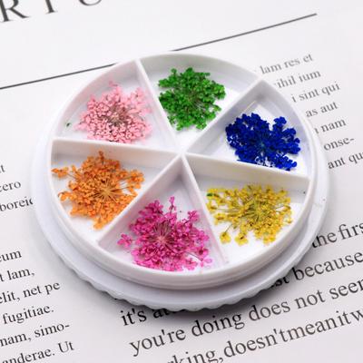 Decorative Nail Decorations Flower Flower Colorful Nail Style