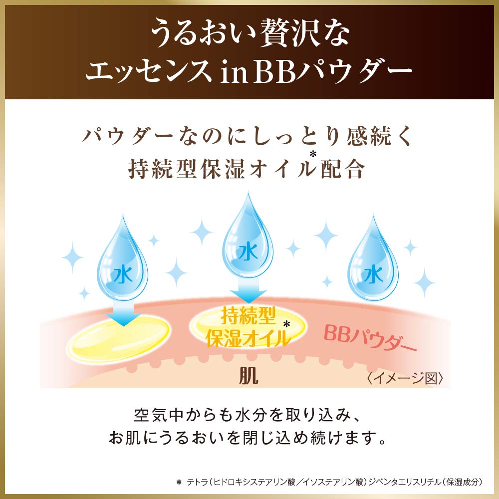 Pore Putty Master Essence BB Powder Moist Lasting BB Powder Fine Sagging and Spots Adult Concerns Cover Foundation Natural Skin Color 9g