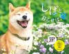 Living with Shiba Inu Calendar 2026 (Calendar)