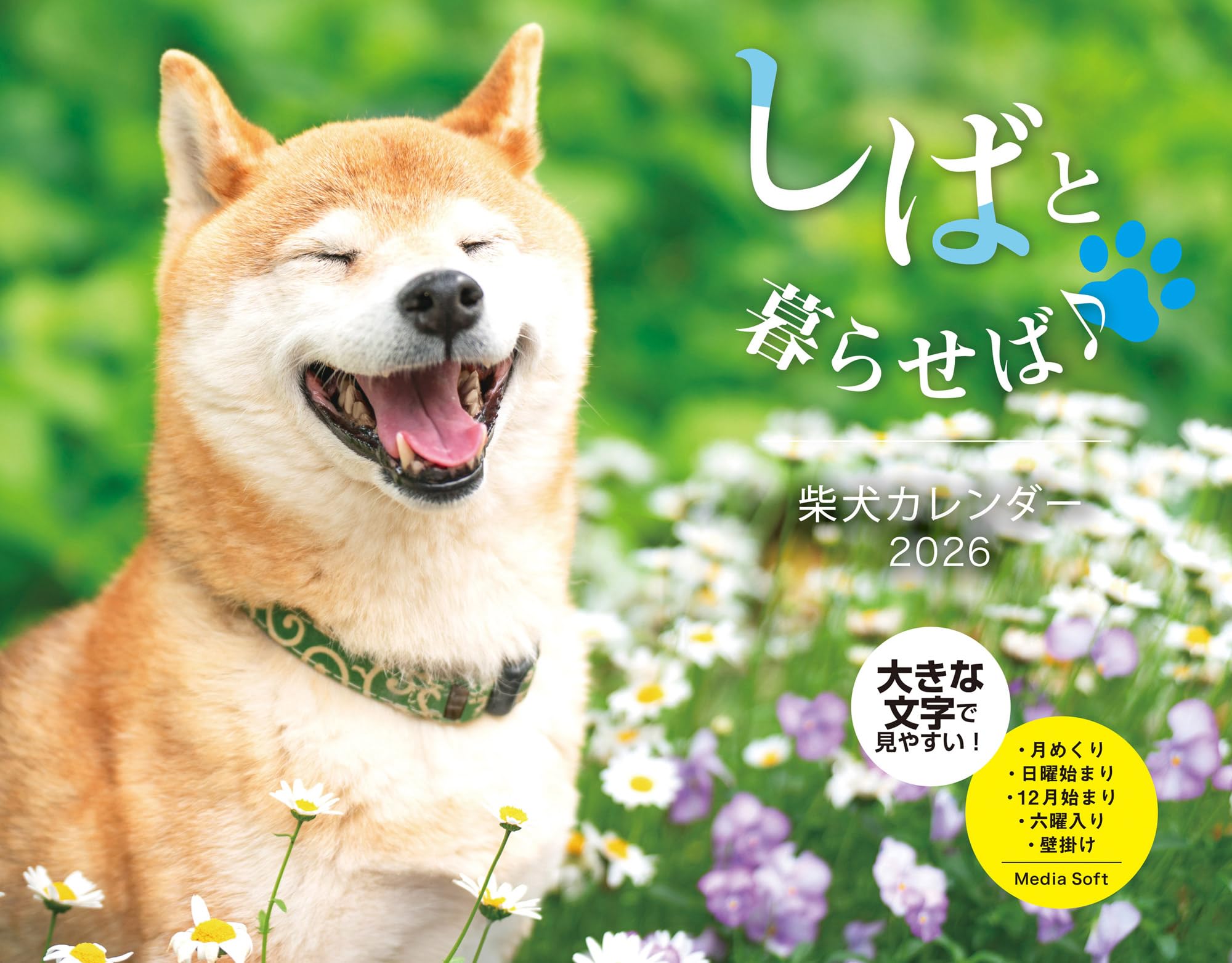 

Living with Shiba Inu Calendar 2026 (Calendar)