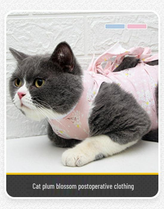 Breathable Cat Neutering Suit: Easy Snap-On Recovery Wear