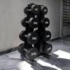 Rubber Coated Dumbbell Set with Rack