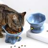 Non-slip Ceramic Cat Bowl Large Capacity Cat Drinking Feeder Pet High Foot Bowl  Pet Eating