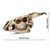 Imitation Wild Goat Skull Desktop Ornaments Home Interior Decor for Creative Model for Home Indoor Desktop Decoration Art Crafts