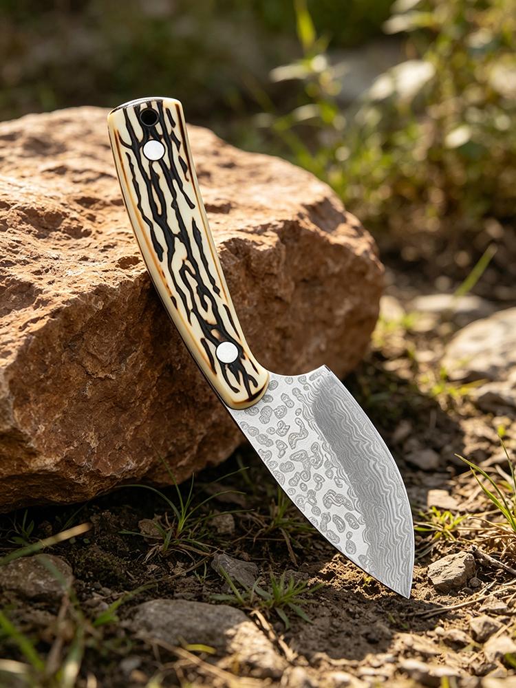 Outdoor Utility Knife Kitchen Knives with Damascus Pattern BBQ Meat Cleaver Fishing EDC Tools with Sheath