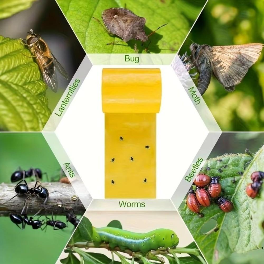 1Roll Double-sided Adhesive Insect Proof Tape Portable Multifunction Fly Tree Tape 10cm 10M Insect Catching Control Tape Outdoor
