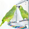 Conure Cockatiel with Rope Acrylic Cage Accessories Swing Perch Stand Parrot Toys Brid Mirror