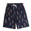 New Men's European Size Loose Casual Beach Shorts - Thin, Five-Point Length, Style D2206#