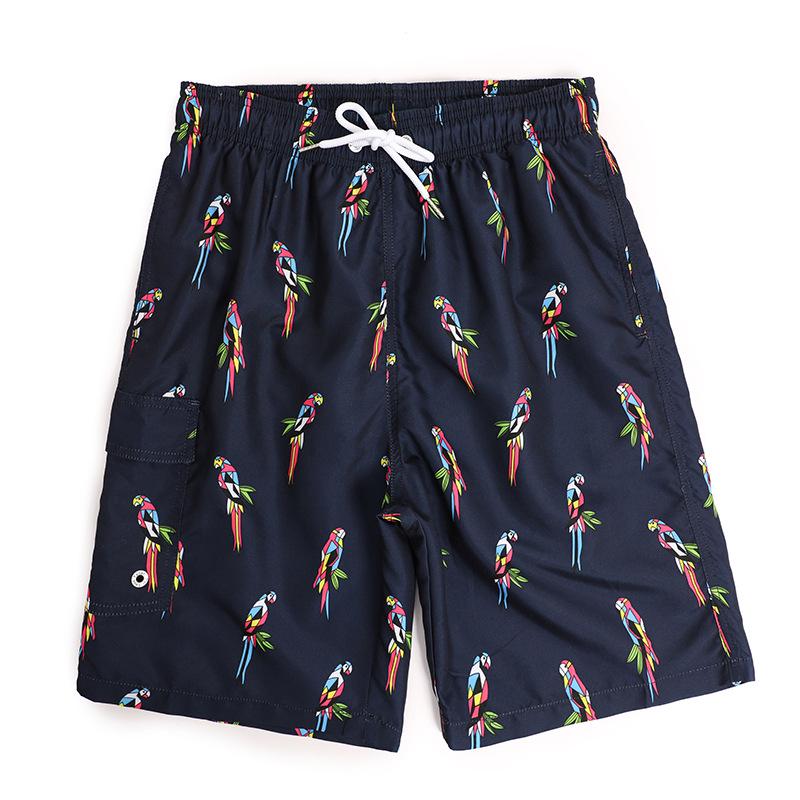 New Men's European Size Loose Casual Beach Shorts - Thin, Five-Point Length, Style D2206#