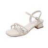 French Open-toed Rhinestone Sandals 2025 Summer New Fashion Outer Wear Thick Heel Square Head One-word Buckle with Skirt Women's Shoes