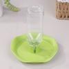 Reptile Water Drinker Dispenser Food Bowl Lizard Gecko Feeder Round Dish Turtle Water Bowl Drink Bottle Reptile Feeders
