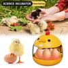 Temperature Control Egg Incubator Mini Brooder Incubator Hatchery Machine  Chicken Duck Quail Bird