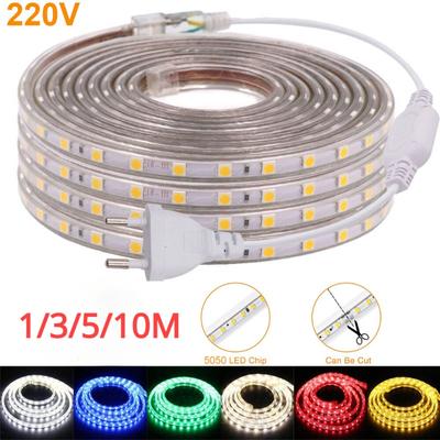 Led led LED světlo 220V do kuchyně s vypínačem Teplá bílá Červená Zelená Modrá Led páska Vodotěsná zásuvka Eu 60Leds/M Stuha