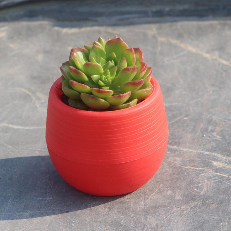 Buy Colorful Mini Potted Plants Flower Pot For Office Home Decoration at affordable prices — free shipping, real reviews with photos — Joom Buy Colorful Mini Potted Plants Flower Pot For Office Home Decoration at affordable prices — free shipping, real reviews with photos — Joom